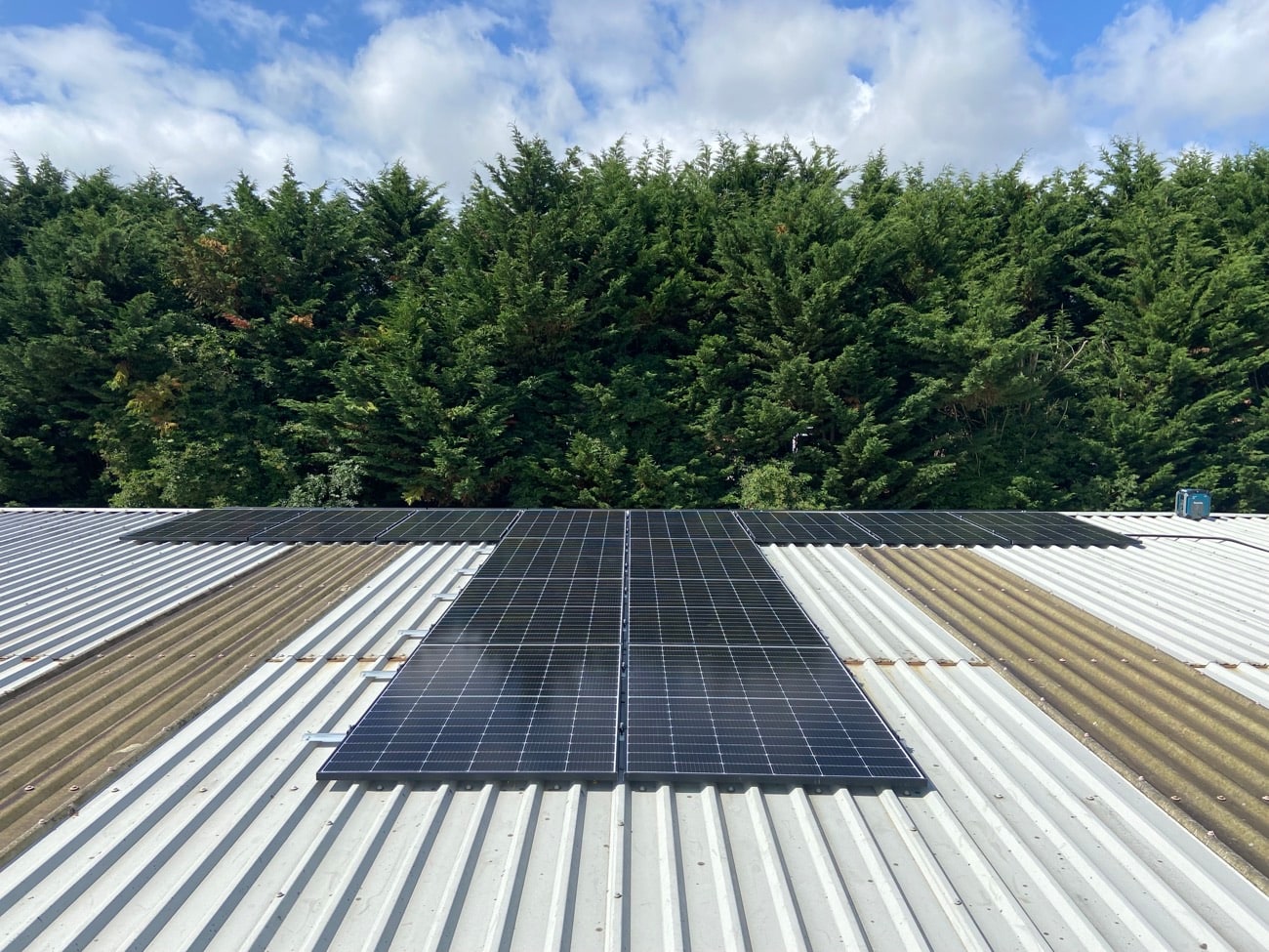 Solar panels on a metal commercial roof backed by tall trees
